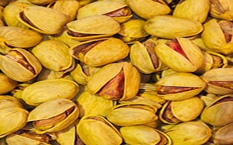 خرید و قیمت پسته کله قوچی تواضع + فروش صادراتی 4
